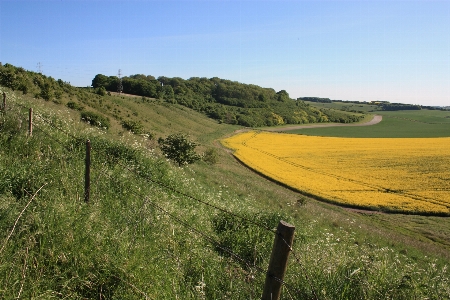 Landscape grass open mountain Photo