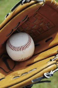 Baseball mitt glove sport Photo