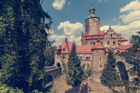 Tree chateau stone travel Photo