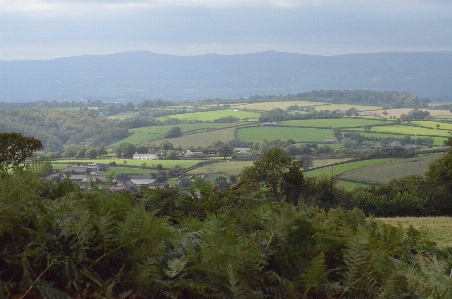 Landscape nature grass mountain Photo