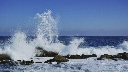 Sea coast water rock Photo