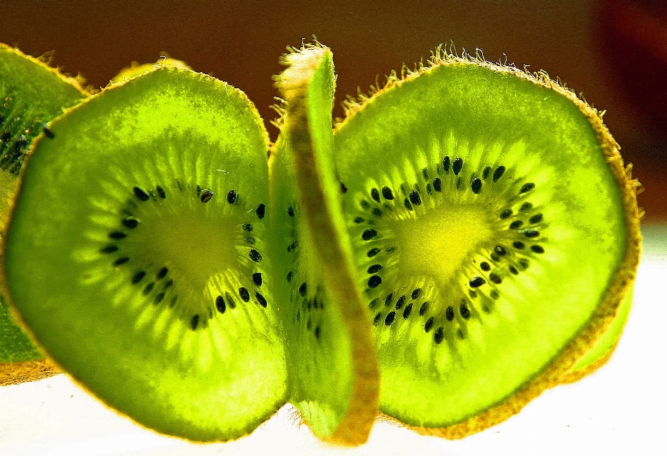 Plant fruit leaf flower