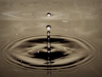 Water droplet drop liquid Photo