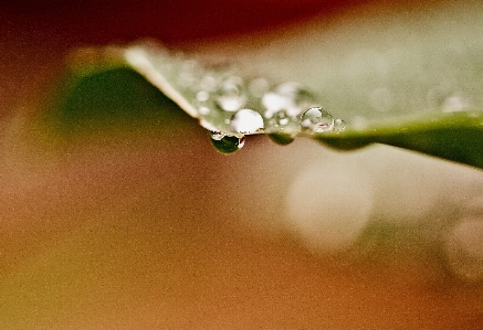 手 水 自然 落とす 写真