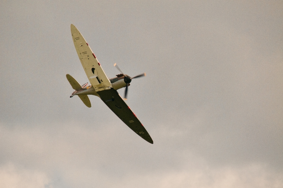 Ala volador avión aeronave