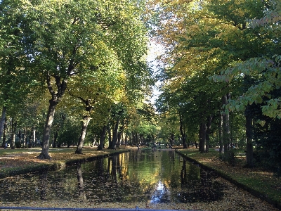 Baum wasser wald sonnenlicht Foto