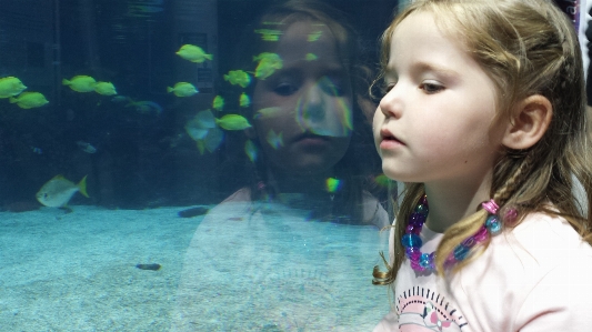 女の子 子供 水中 反射 写真