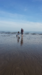 Beach sea coast water Photo