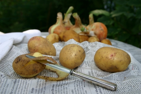 Plant fruit dish food Photo