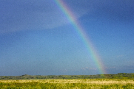 Landscape nature grass horizon Photo