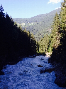 Zdjęcie Krajobraz drzewo woda natura