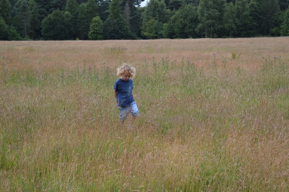 Natur gras person menschen