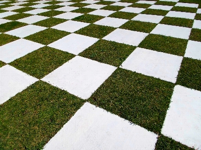 Grass lawn floor cobblestone Photo