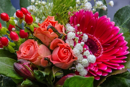 Plant flower petal bouquet Photo