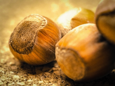 Foto Legna cibo produrre verdura