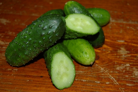 植物 食べ物 生産 野菜 写真