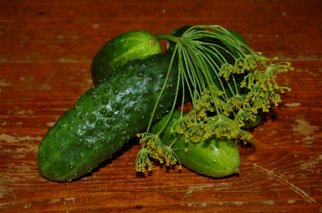 植物 花 食べ物 緑 写真