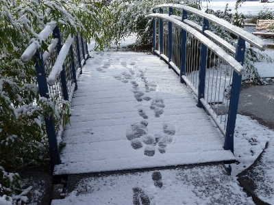 Foto Nieve invierno puente acera
