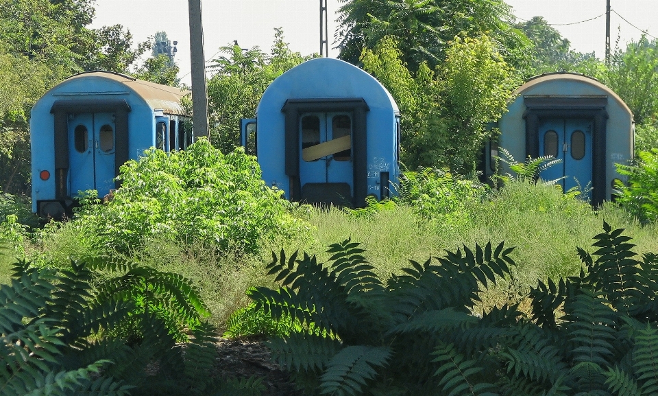 Gurun
 rumah kereta hutan