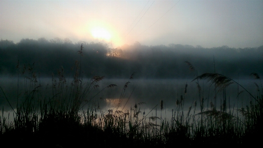 Water nature forest cloud Photo