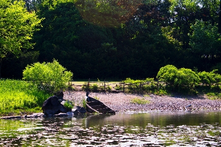 Foto Paesaggio albero acqua natura