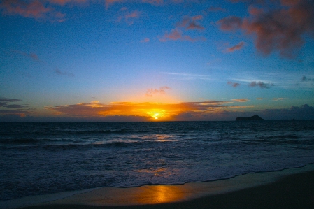 Beach sea coast ocean Photo