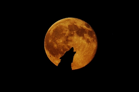 Atmosphere wolf moon full Photo