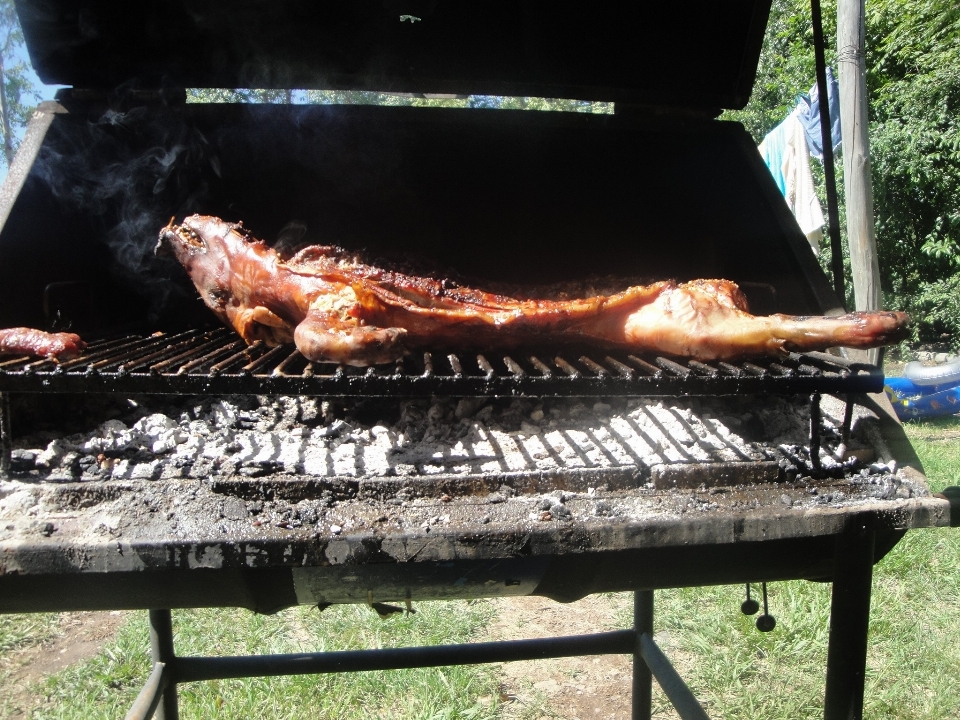 Asar plato alimento cocinando