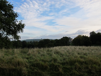 Landschaft baum natur wald Foto