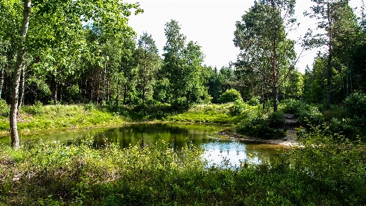 Zdjęcie Krajobraz drzewo woda natura