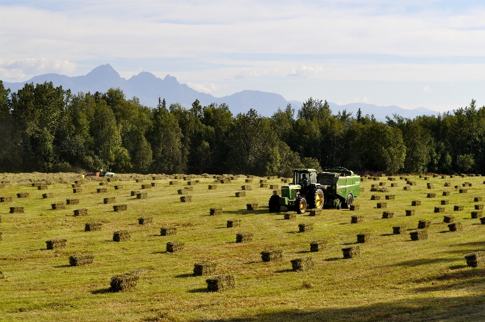 Paysage herbe foins tracteur