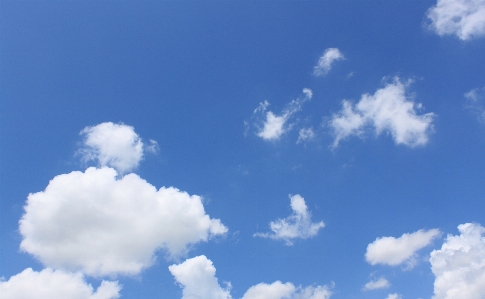 Nature cloud sky sunlight Photo