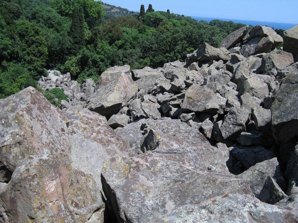 景观 森林 rock 步行