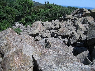 Landscape forest rock walking Photo