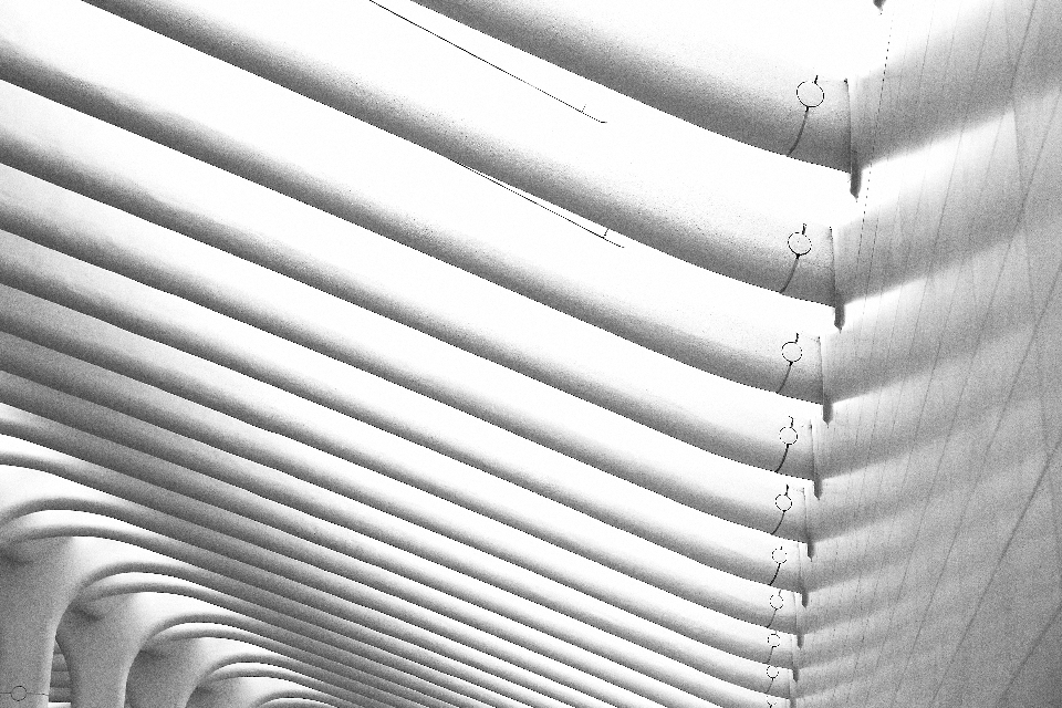 Aile lumière noir et blanc
 architecture