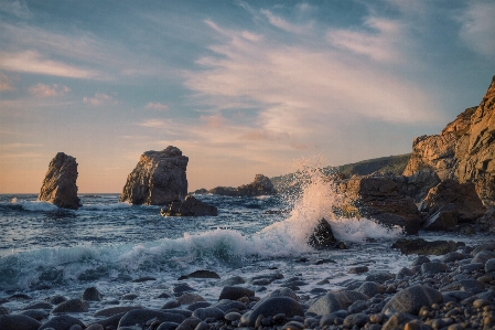 Beach sea coast water Photo