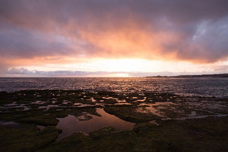 ビーチ 風景 海 海岸 写真