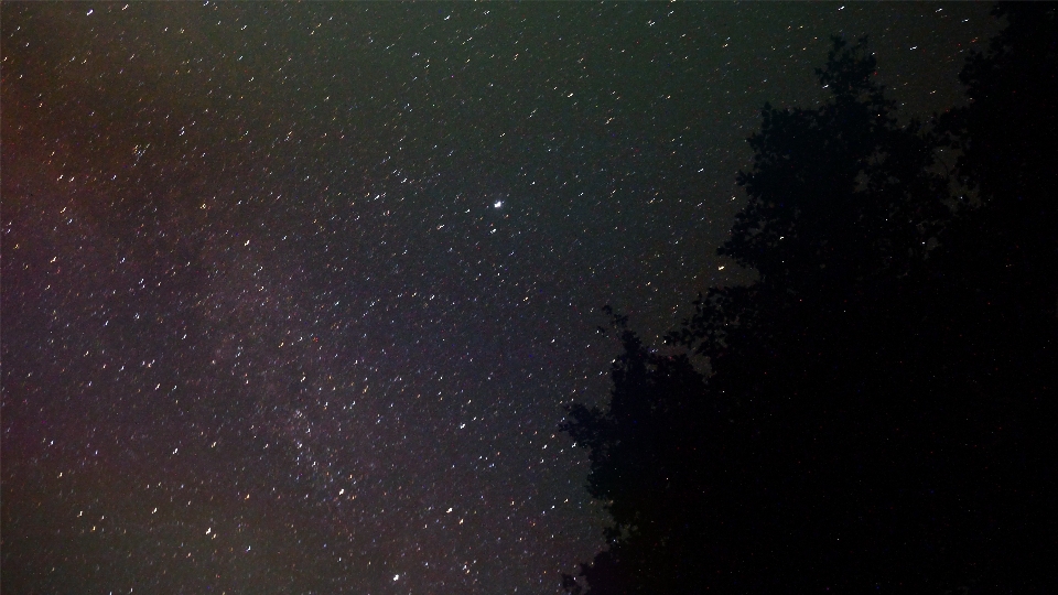 Nature silhouette sky night