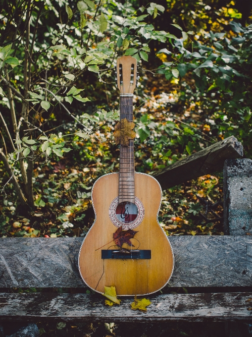 Musik gitar akustik instrumen