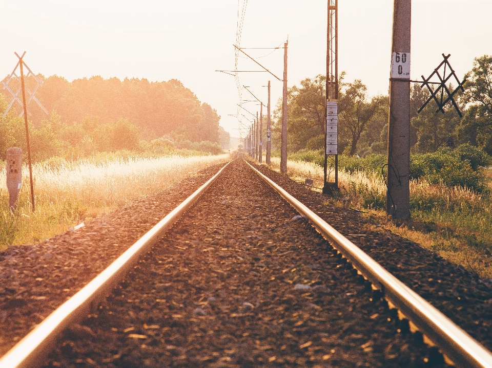 Nature track railway railroad