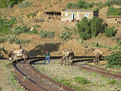 Person track railway train Photo