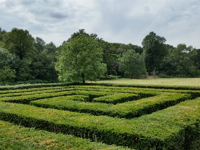 Landscape grass plant field Photo