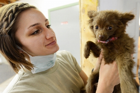 Foto Tangan wanita anak anjing