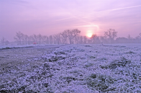 Landscape nature snow cold Photo