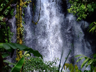 Фото вода природа лес открытый