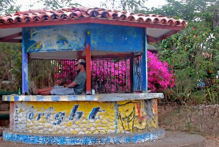 Man amusement park tropical Photo