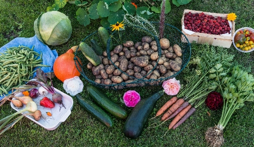 Fruit food harvest produce Photo