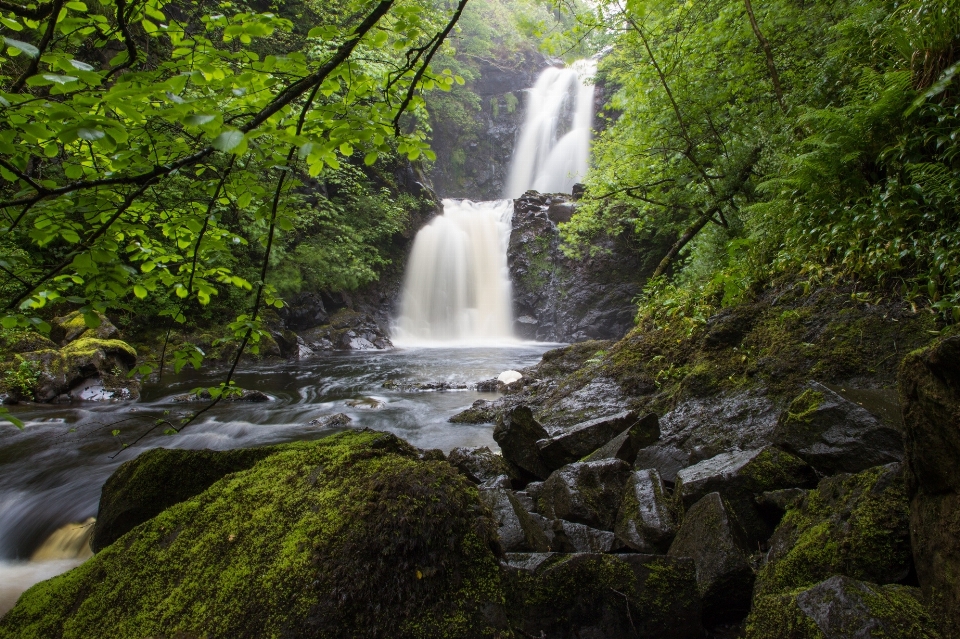 Krajobraz drzewo woda natura