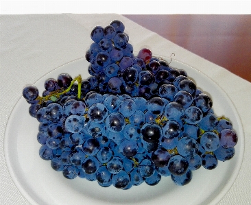 Plant grape fruit berry Photo