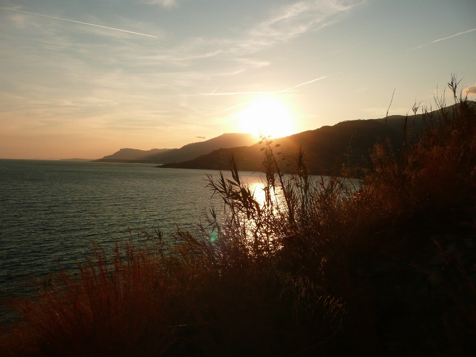 Beach sea coast nature